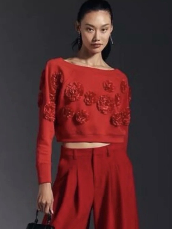 Anthropologie Tops - Maeve Anthropologie Cropped 3-D Floral Sweatshirt Red Small